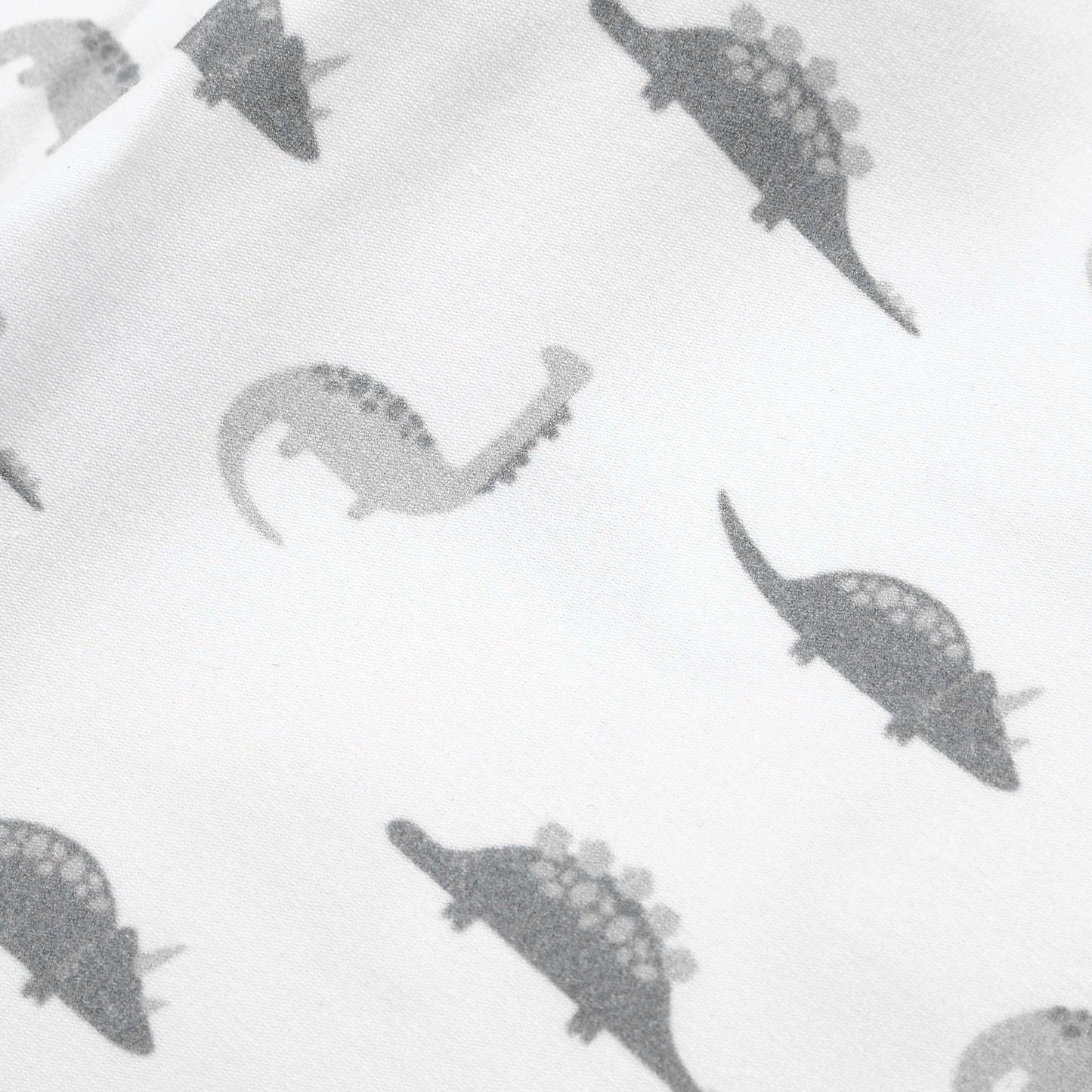 Dinosaur Blanket