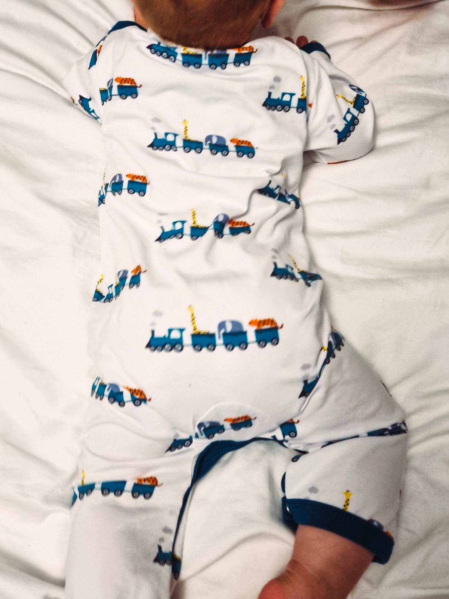 Animal Train Sleepsuit