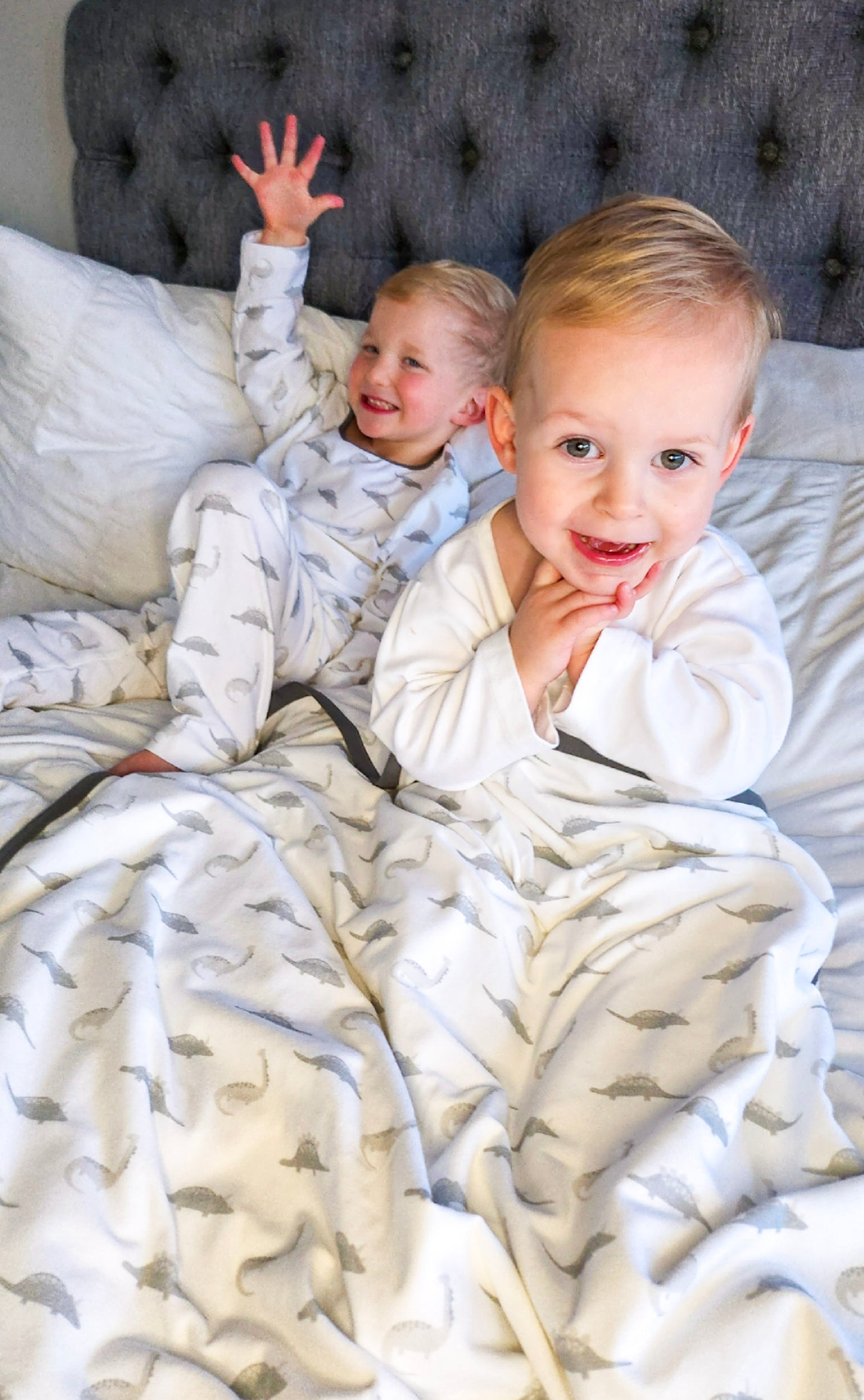 Dinosaur Blanket