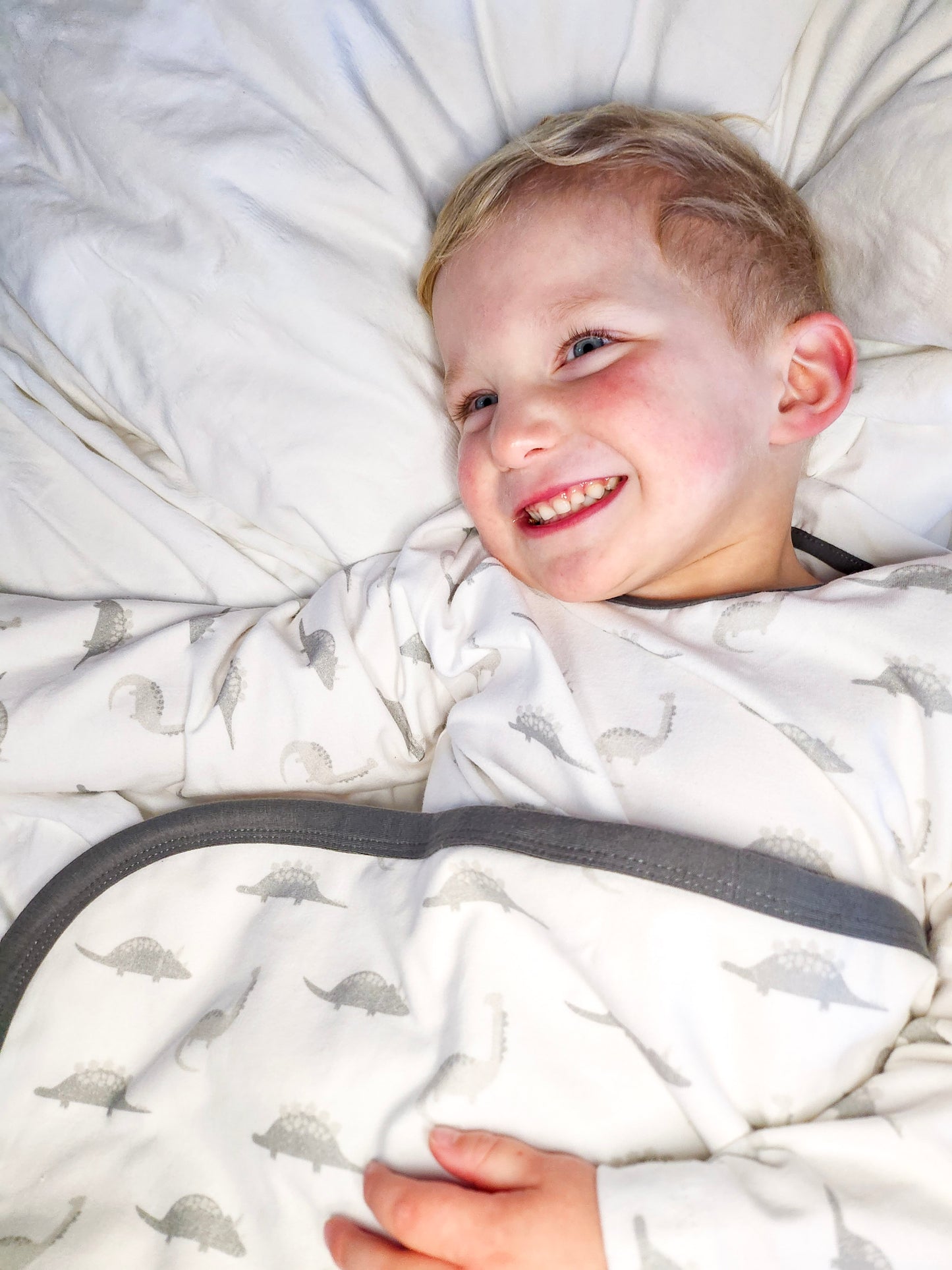 Dinosaur Blanket
