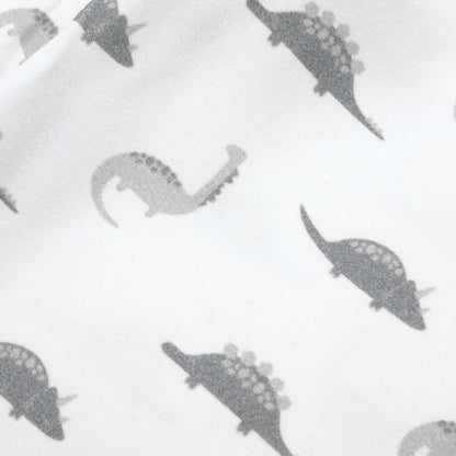 Dinosaur Blanket