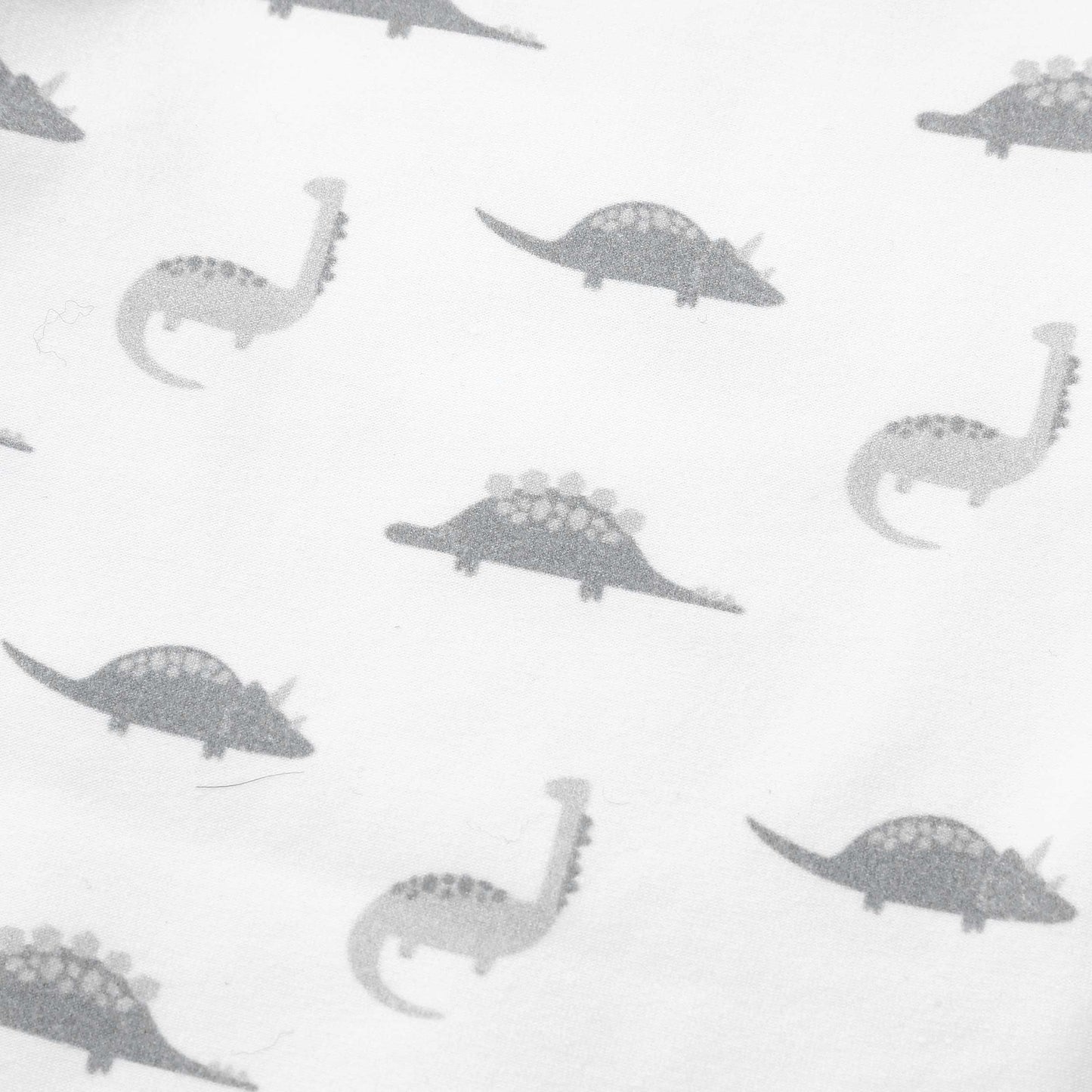 Dinosaur Sleepsuit