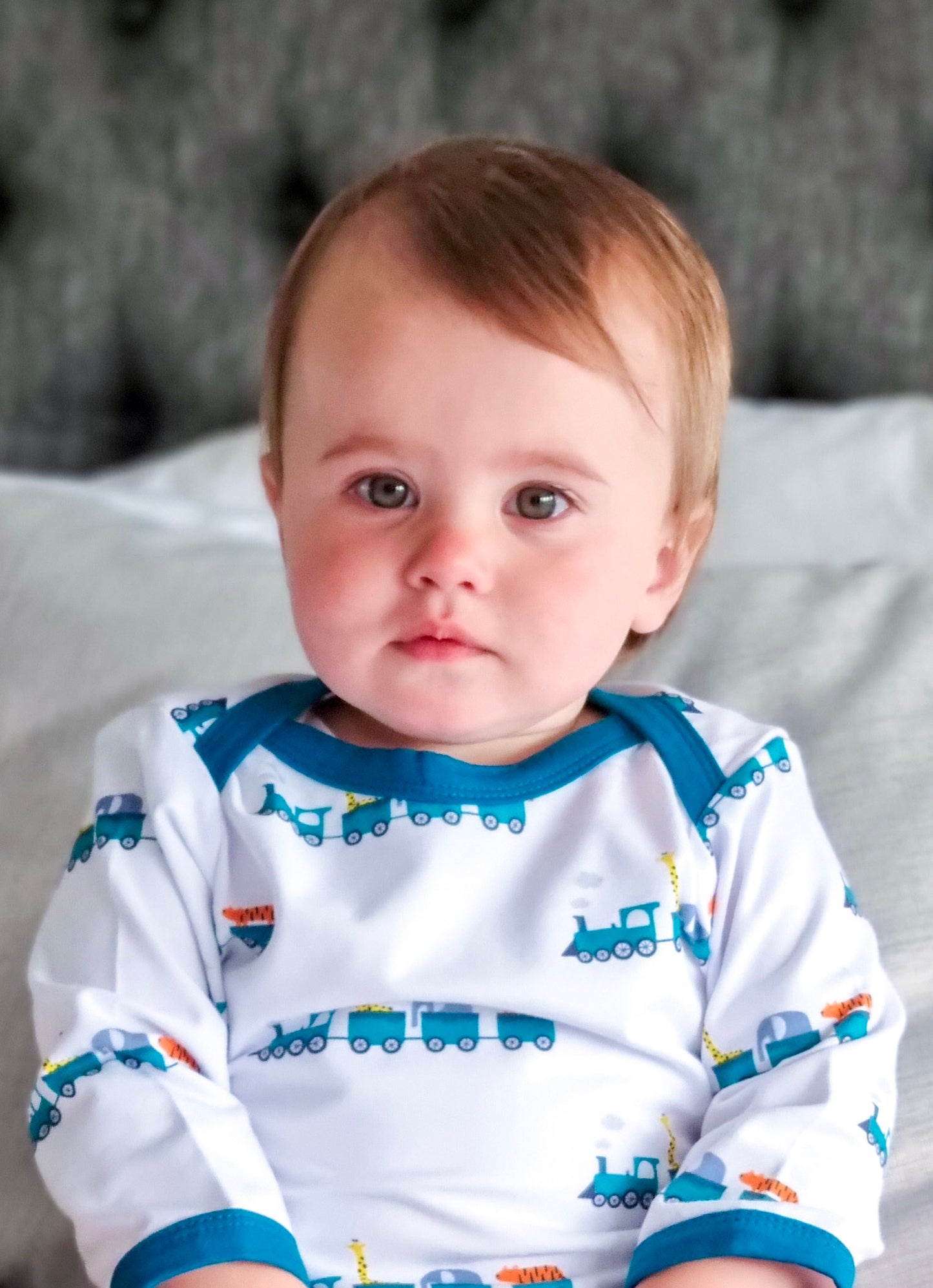 Animal Train Sleepsuit