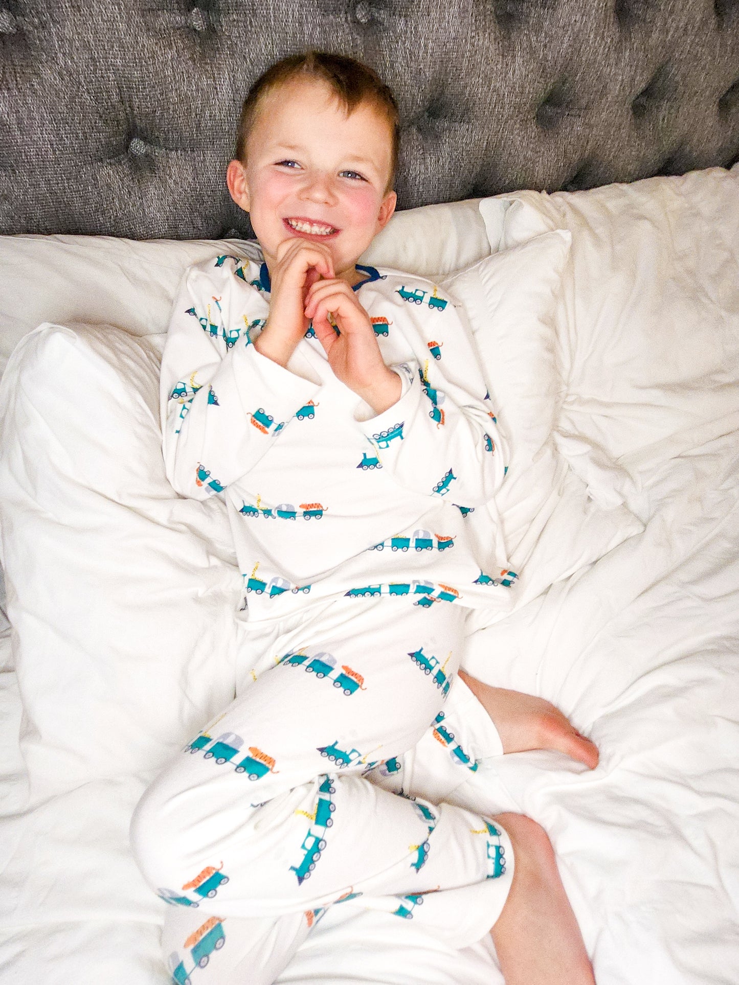 Animal Train Crew Neck Pyjamas