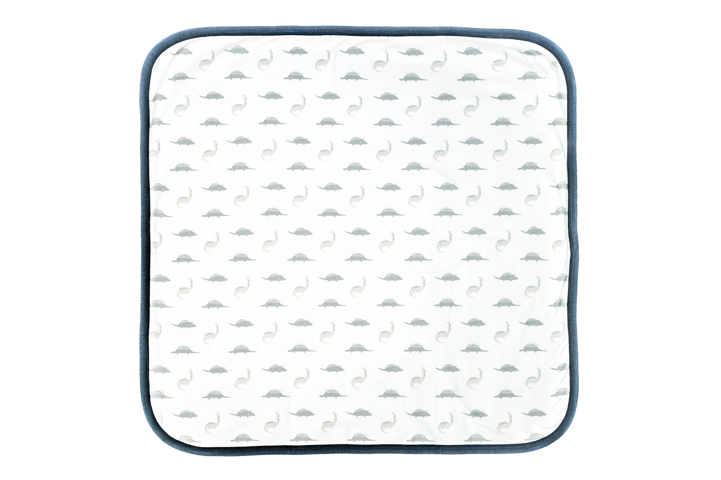 Dinosaur Blanket