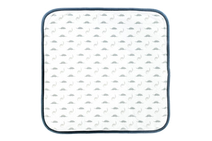 Dinosaur Blanket