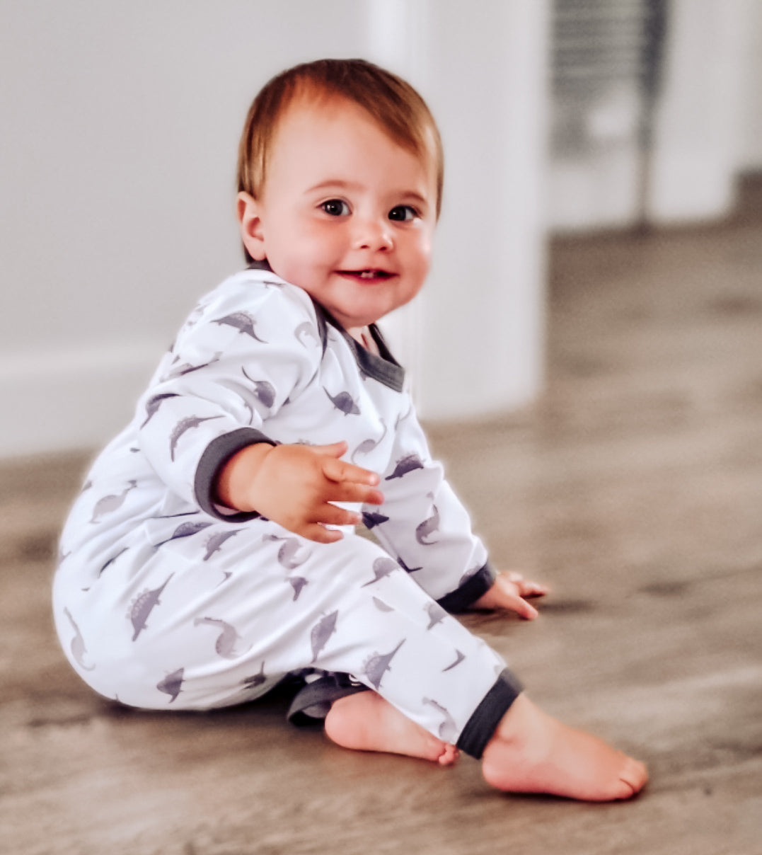 Dinosaur Sleepsuit